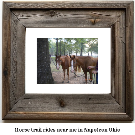 horse trail rides near me in Napoleon, Ohio